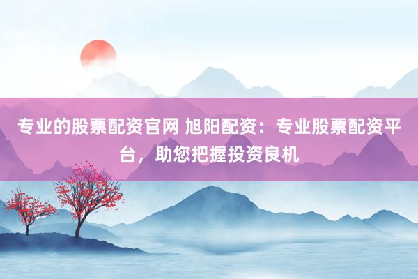 专业的股票配资官网 旭阳配资：专业股票配资平台，助您把握投资良机