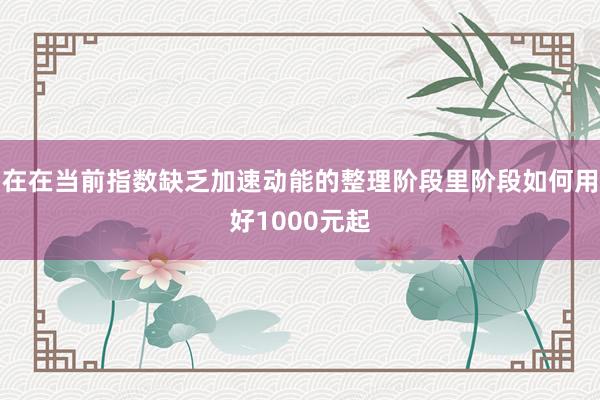 在在当前指数缺乏加速动能的整理阶段里阶段如何用好1000元起