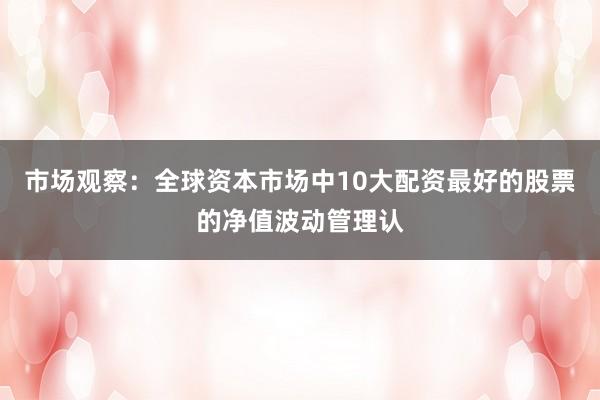 市场观察：全球资本市场中10大配资最好的股票的净值波动管理认