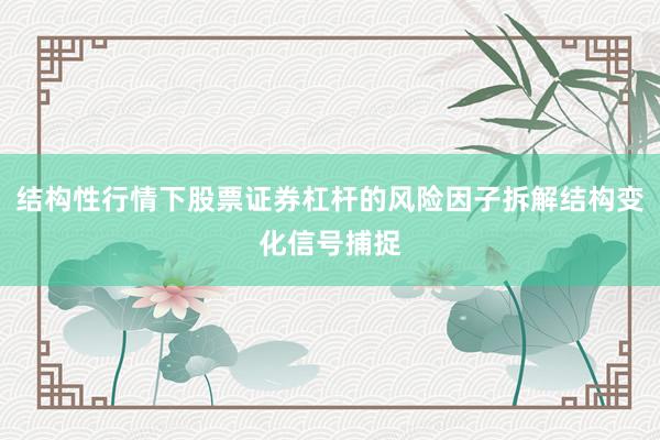 结构性行情下股票证券杠杆的风险因子拆解结构变化信号捕捉