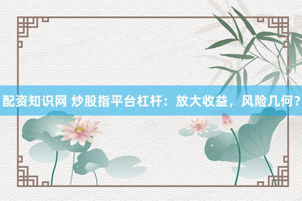 配资知识网 炒股指平台杠杆：放大收益，风险几何？