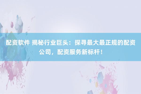 配资软件 揭秘行业巨头：探寻最大最正规的配资公司，配资服务新标杆！