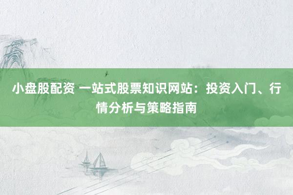 小盘股配资 一站式股票知识网站:投资入门、行情分析与策略指南