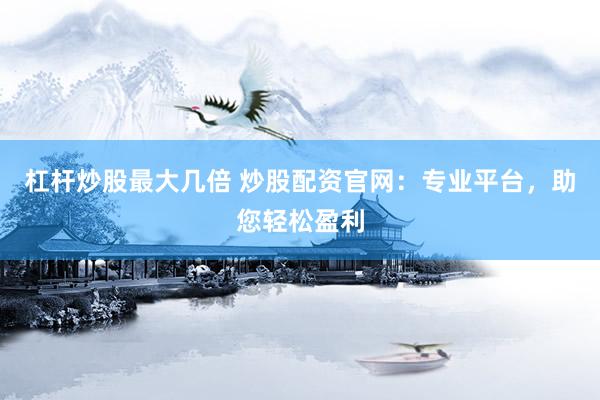 杠杆炒股最大几倍 炒股配资官网:专业平台,助您轻松盈利
