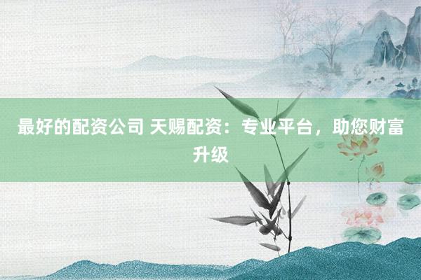 最好的配资公司 天赐配资:专业平台,助您财富升级