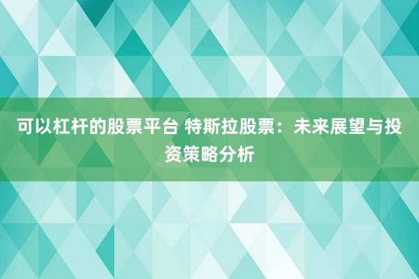 可以杠杆的股票平台 特斯拉股票:未来展望与投资策略分析