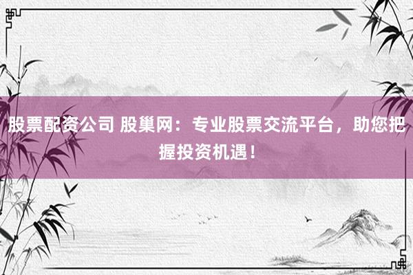 股票配资公司 股巢网：专业股票交流平台，助您把握投资机遇！