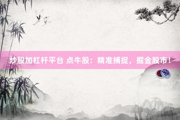 炒股加杠杆平台 点牛股：精准捕捉，掘金股市！
